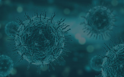 Official results: Airocide technology is effective against SARS-CoV-2 virus